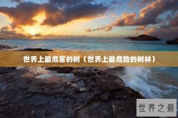 世界上最危害的树（世界上最危险的树林）