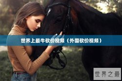 世界上最牛砍价视频（外国砍价视频）