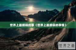 世界上最脆弱的事（世界上最脆弱的事情）