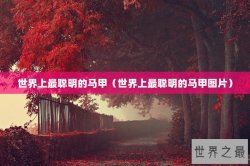 世界上最聪明的马甲（世界上最聪明的马甲图片）