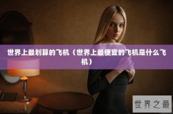 世界上最划算的飞机（世界上最便宜的飞机是什么飞机）