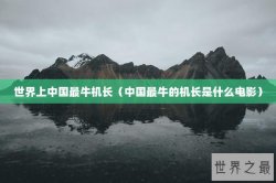 世界上中国最牛机长（中国最牛的机长是什么电影）