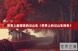 世界上最惊喜的过山车（世界上的过山车排名）