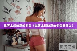 世界上最故意的卡包（世界上最故意的卡包是什么）