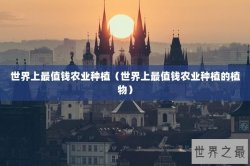 世界上最值钱农业种植（世界上最值钱农业种植的植物）
