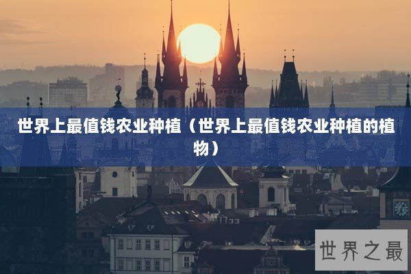 世界上最值钱农业种植（世界上最值钱农业种植的植物）