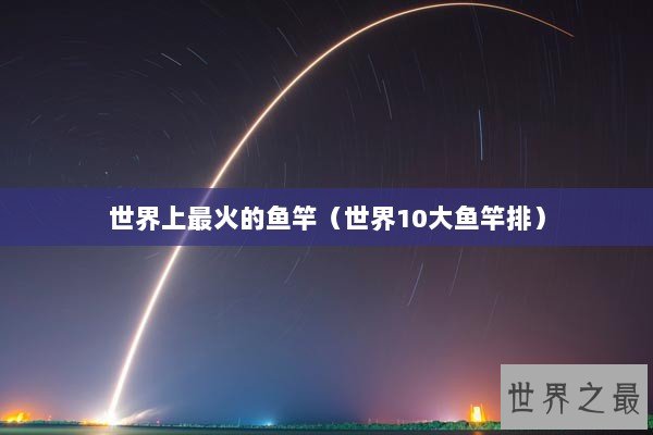 世界上最火的鱼竿（世界10大鱼竿排）