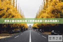 世界上最壮观的斗鸡（世界排名第一的斗鸡品种）
