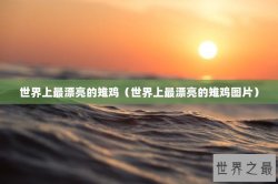 世界上最漂亮的雉鸡（世界上最漂亮的雉鸡图片）
