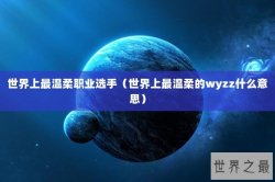 世界上最温柔职业选手（世界上最温柔的wyzz什么意思）