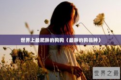 世界上最肥胖的狗狗（最胖的狗品种）