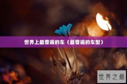 世界上最普遍的车（最普遍的车型）