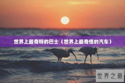 世界上最奇特的巴士（世界上最奇怪的汽车）