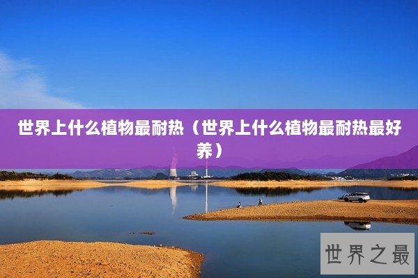 世界上什么植物最耐热（世界上什么植物最耐热最好养）