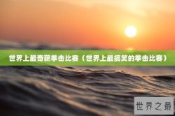 世界上最奇葩拳击比赛（世界上最搞笑的拳击比赛）