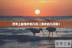 世界上最奇妙的几何（奇妙的几何体）