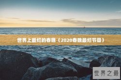世界上最烂的春晚（2020春晚最烂节目）