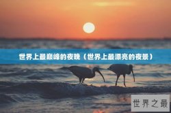 世界上最巅峰的夜晚（世界上最漂亮的夜景）