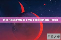世界上最调皮的视频（世界上最调皮的狗是什么狗）