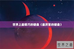 世界上最精巧的硬盘（最厉害的硬盘）