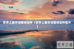 世界上最听话猫咪品种（世界上最听话猫咪品种图片）