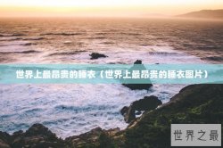 世界上最昂贵的睡衣（世界上最昂贵的睡衣图片）