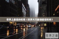世界上最猛的机炮（世界火力最强最猛机枪）