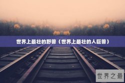 世界上最壮的野兽（世界上最壮的人巨兽）
