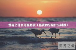 世界上什么牙最名贵（最贵的牙是什么材质）
