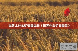 世界上什么矿石最出名（世界什么矿石最贵）
