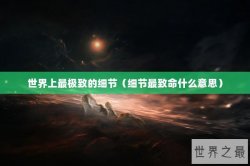 世界上最极致的细节（细节最致命什么意思）