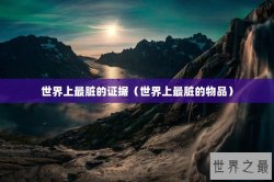 世界上最脏的证据（世界上最脏的物品）