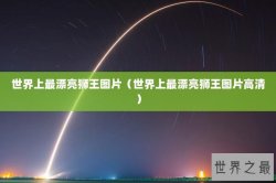 世界上最漂亮狮王图片（世界上最漂亮狮王图片高清）