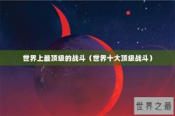 世界上最顶级的战斗（世界十大顶级战斗）
