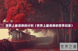 世界上最诡异的计划（世界上最诡异的世界纪录）