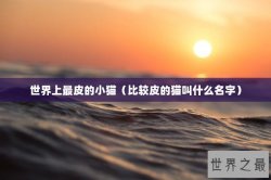 世界上最皮的小猫（比较皮的猫叫什么名字）