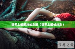 世界上最拥堵的车道（世界上最长堵车）