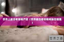 世界上最古老葡萄产区（世界最古老的葡萄藤在哪里）