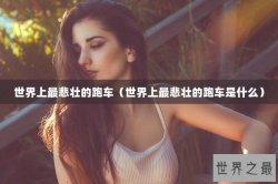世界上最悲壮的跑车（世界上最悲壮的跑车是什么）