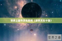 世界上最牛叉车视频（世界叉车十强）