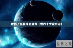 世界上最特殊的盐湖（世界十大盐水湖）