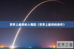 世界上最帅的人舞蹈（世界上最帅的动作）