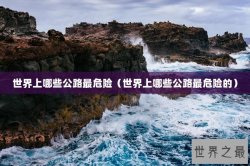 世界上哪些公路最危险（世界上哪些公路最危险的）