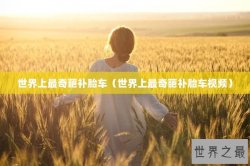世界上最奇葩补胎车（世界上最奇葩补胎车视频）