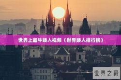 世界上最牛矮人视频（世界矮人排行榜）