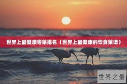 世界上最健康粤菜排名（世界上最健康的饮食菜谱）