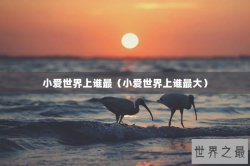 小爱世界上谁最（小爱世界上谁最大）