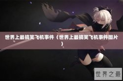世界上最搞笑飞机事件（世界上最搞笑飞机事件图片）