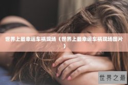 世界上最幸运车祸现场（世界上最幸运车祸现场图片）