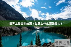 世界上最尖叫的酒（世界上什么酒劲最大）